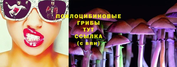 амфетамин Елизово