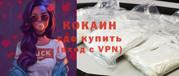 прущая мука Ельня