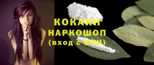 прущая мука Ельня