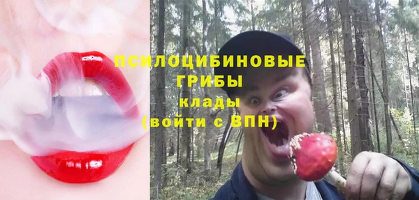 амфетамин Елизово