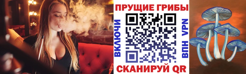 гидра рабочий сайт Зеленокумск Псилоцибиновые грибы GOLDEN TEACHER